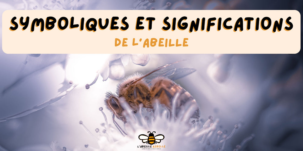 Symboliques et Significations de l'Abeille – L'Abeille Rebelle